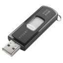 sandisk-cruzer-2gb.jpg