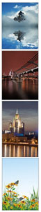 stock-photo-gallery.jpg