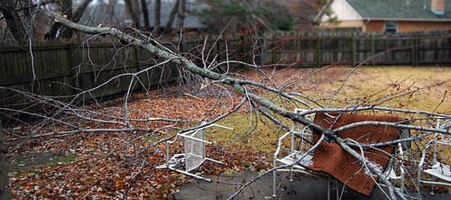 trees-down-in-tulsa.jpg