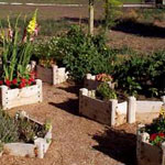 raised-bed-design.jpg