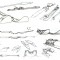 parabolic-skis-04a