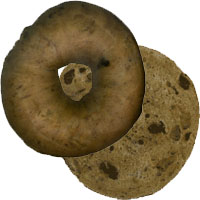 solidworks-bagel.jpg