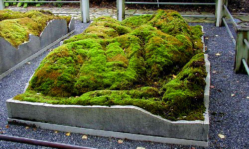 raised_bed_02.jpg