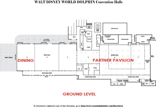 dolphin-detail