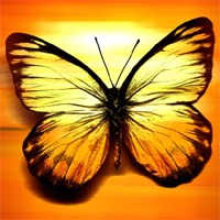 autodesk-autocad-online