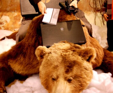 The Process of Unboxing an HP EliteBook 8740w… On a Bear