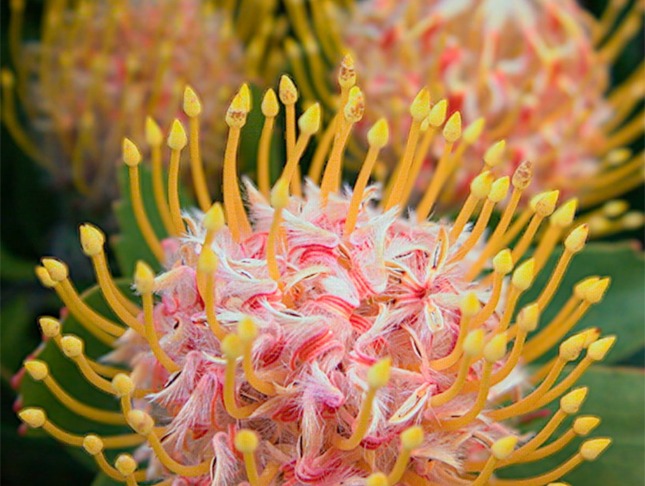 Lytro-Light-Field-Camera-01