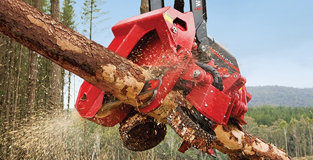 Amazing Machine Strips, Slices and Harvests Logs in Seconds