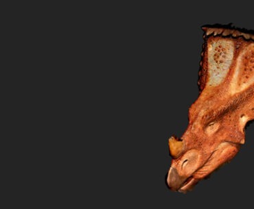 Upload Your Photos, Print a 3D Model with hypr3D