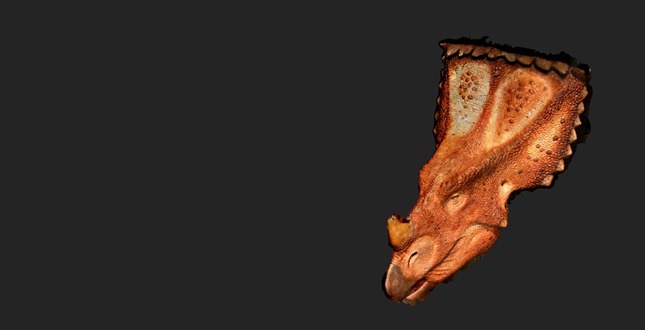 Upload Your Photos, Print a 3D Model with hypr3D