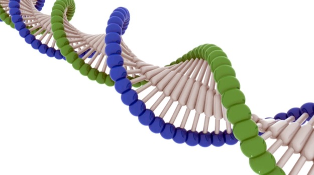 Get Your 3D Kung Fu ON: How to Use the Radial Array Tool in modo