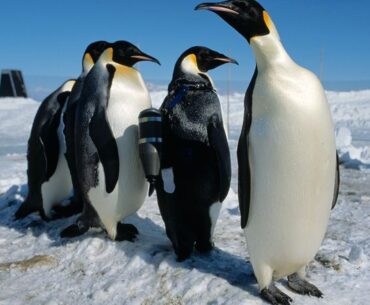 Adventurers needed: National Geographic looking for geeky, good-looking engineer types