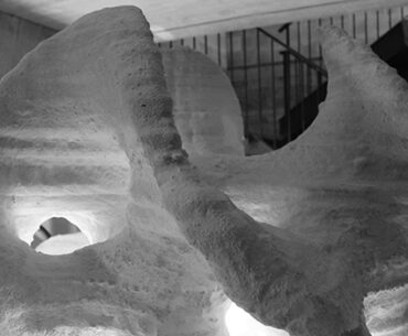 The Rygo – Biggest 3D Print in North America