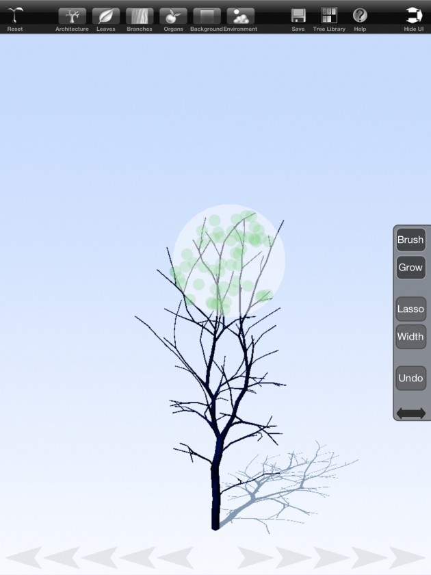 treesketch-30-Steven-Longay-02