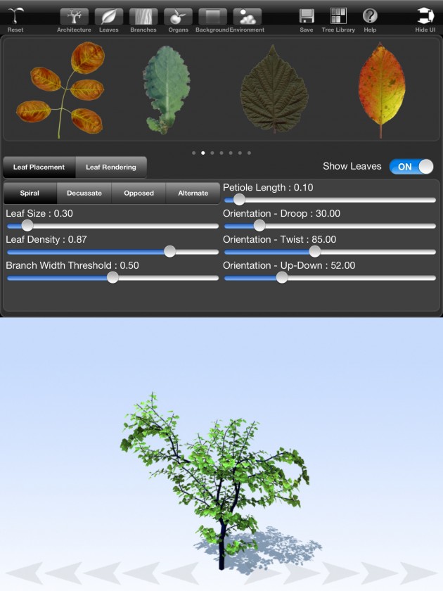 treesketch-30-Steven-Longay-03
