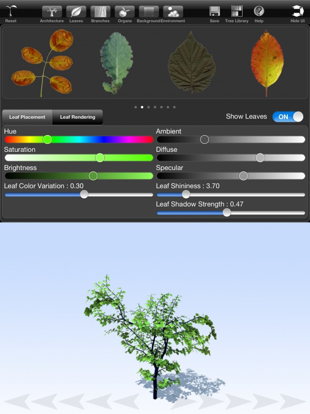 treesketch-30-Steven-Longay-04
