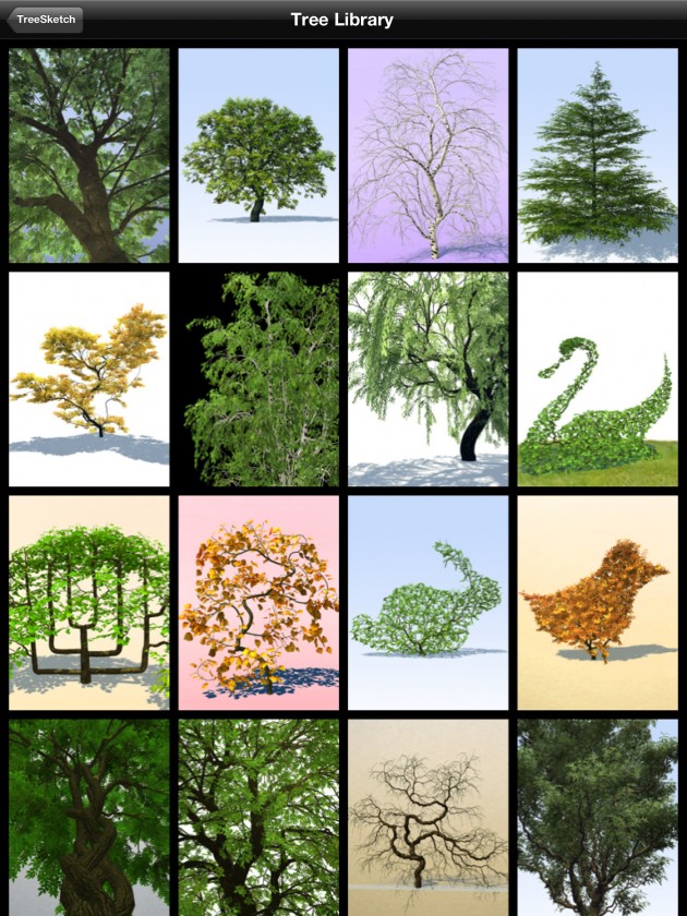 treesketch-30-Steven-Longay-10