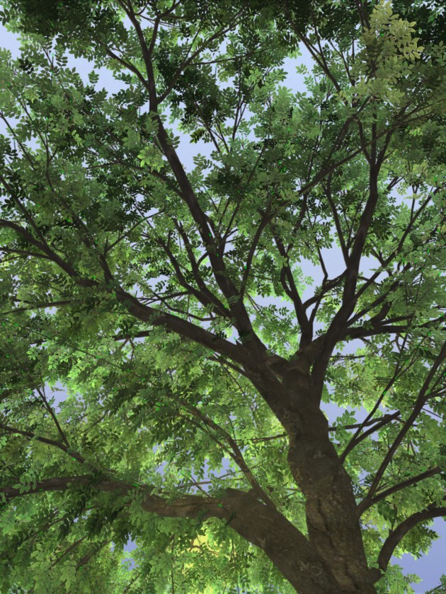 treesketch-30-Steven-Longay-11