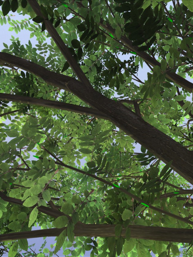 treesketch-30-Steven-Longay-12