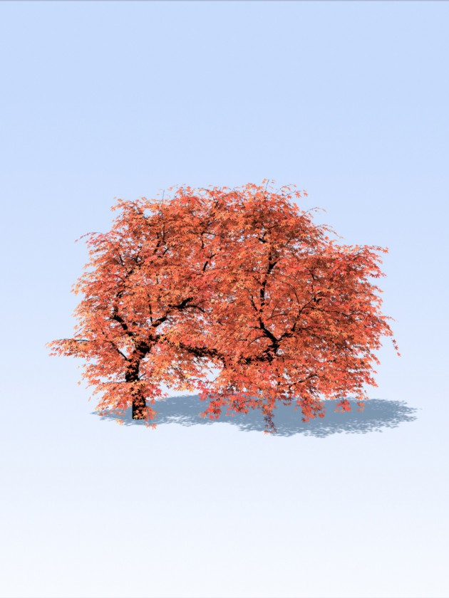 treesketch-30-Steven-Longay-13