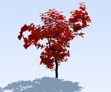 Must Have App: TreeSketch 3.0 – Procedural Modeling of Trees