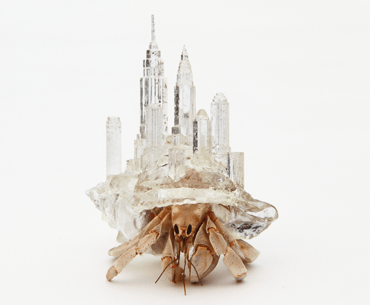 These Hermit Crabs Look Great in Their Snazzy, New 3D Printed Houses