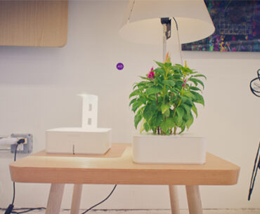 On Location: 'The Future of Home Living' Smart Home Experience