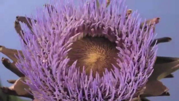 Screen Shot 2013-11-22 at 10.25.53 AM