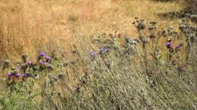 Screen Shot 2013-11-22 at 10.26.05 AM