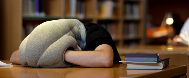 b043_se_120716_ostrichpillow_kawamuraganjavian_03