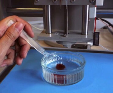 Monday Predictions: 3D Printed Fruit Will Be A MasterChef Disaster