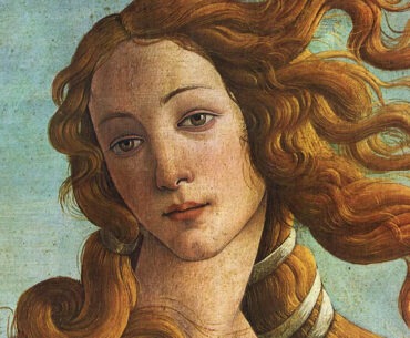 The Adobe Illustrator Story