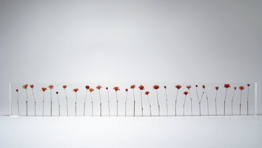 f_l_o_w_e_r_s2_1024x1024