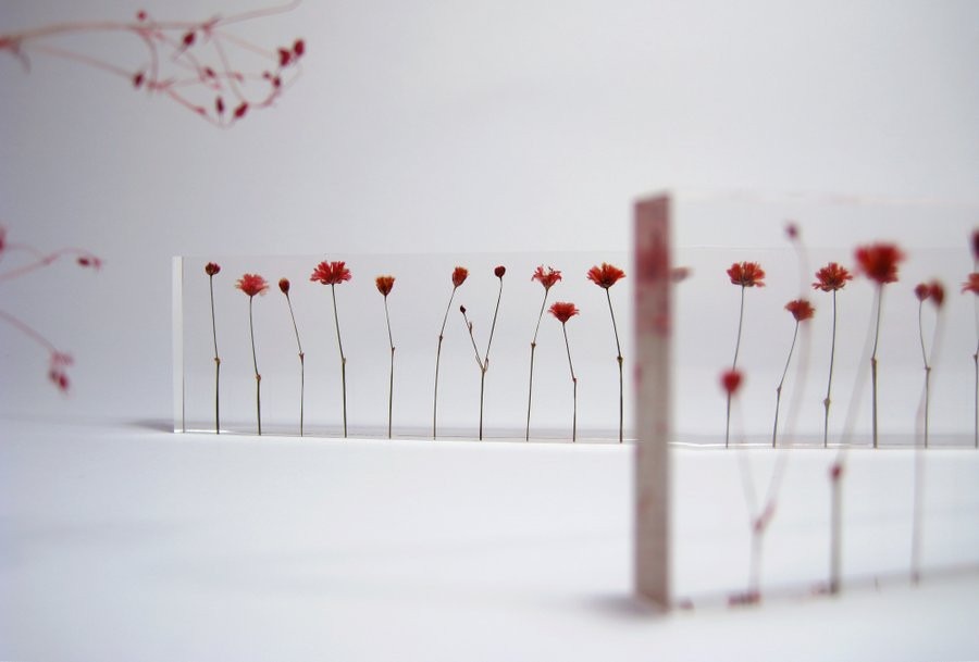 f_l_o_w_e_r_s3_1024x1024