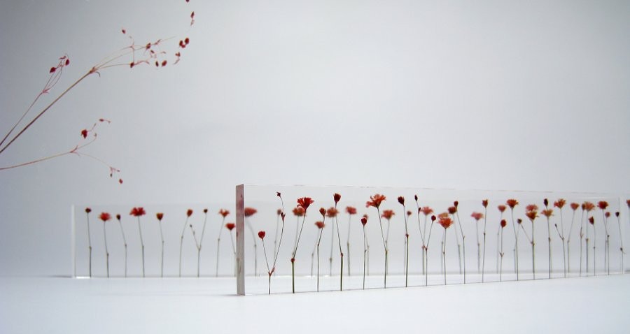 f_l_o_w_e_r_s4_1024x1024