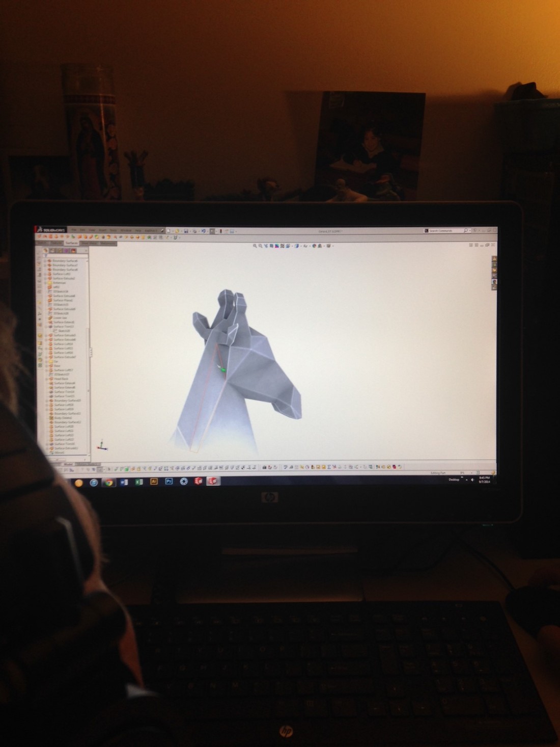 project-safari-process-04