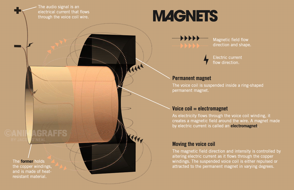 magnet