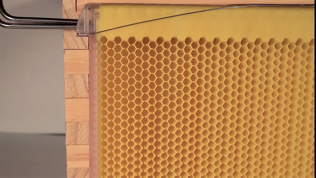The Flow Hive Just Completely Revolutionized Beekeeping The Flow Hive Just Completely Revolutionized Beekeeping