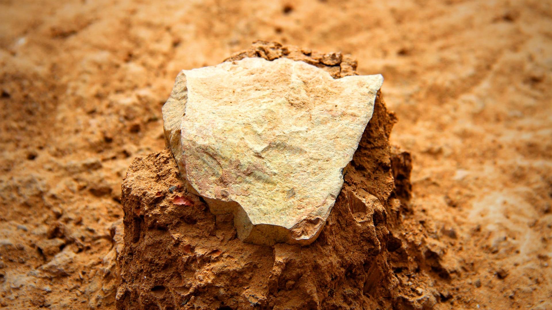 Recently Unearthed Stone Tools Are Oldest Ever Discovered at 3.3 Million-Years-Old