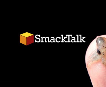 SmackTalk: Your Platform to Talk About Stories Before They Happen