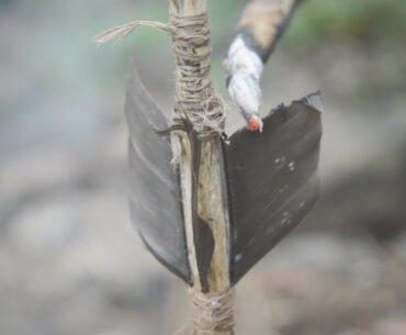 Watch a Bow and Arrow Set Get Crafted From Scratch in the Forest