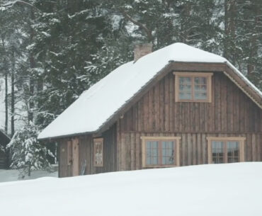 Watch a Log Cabin Get Built from Scratch Using Only Hand Tools and Human Energy