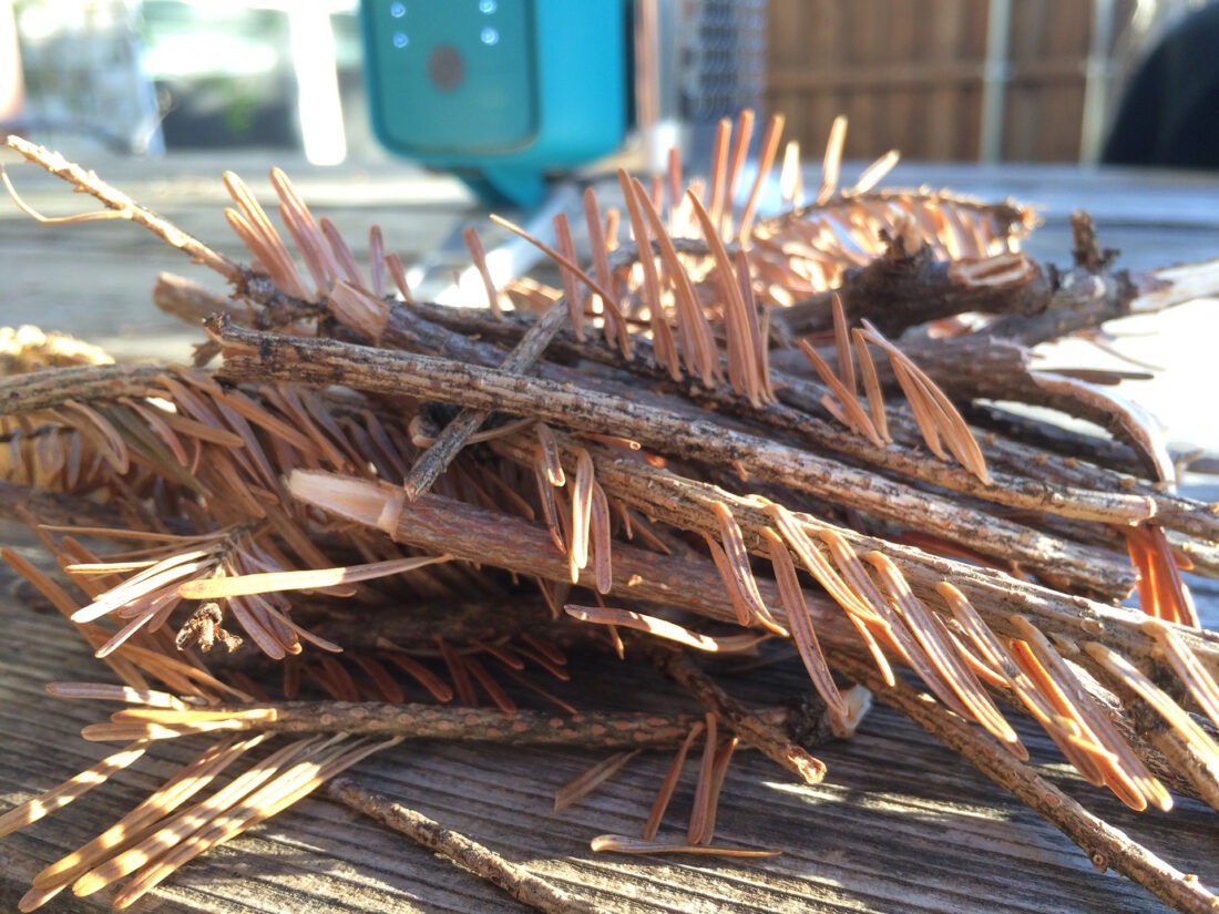 biolite-cookstove-14