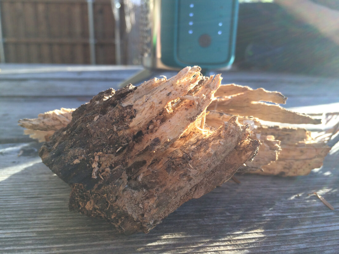 biolite-cookstove-15