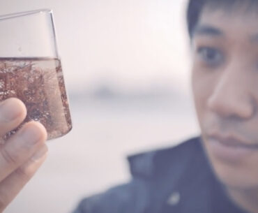 The Bubble Wrap of the Future is Made from Dried Seaweed