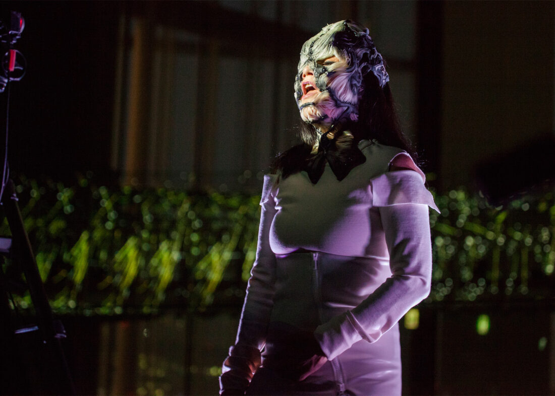 bjork-3d-printed-muscoskeletal-mask-01