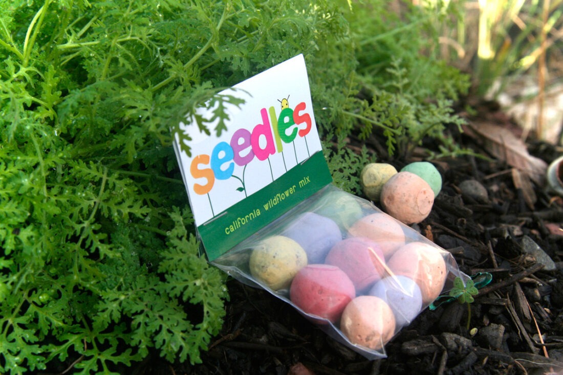 seedles-sead-bomb-wildflower-seeds-02
