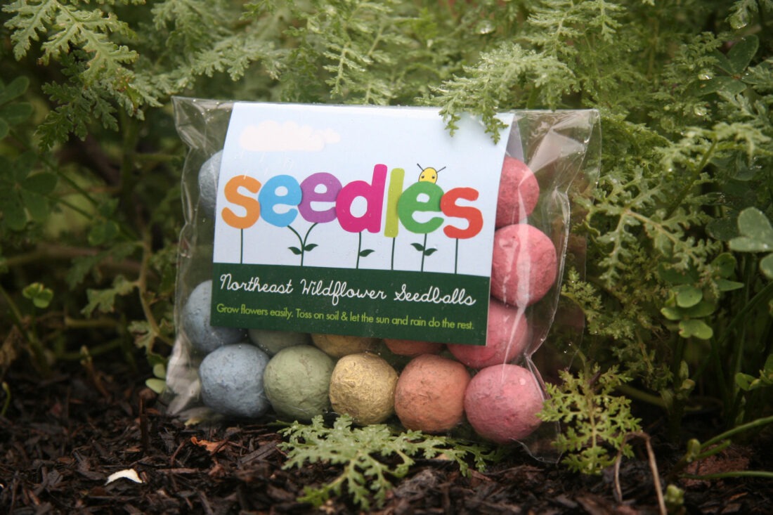 seedles-sead-bomb-wildflower-seeds-03