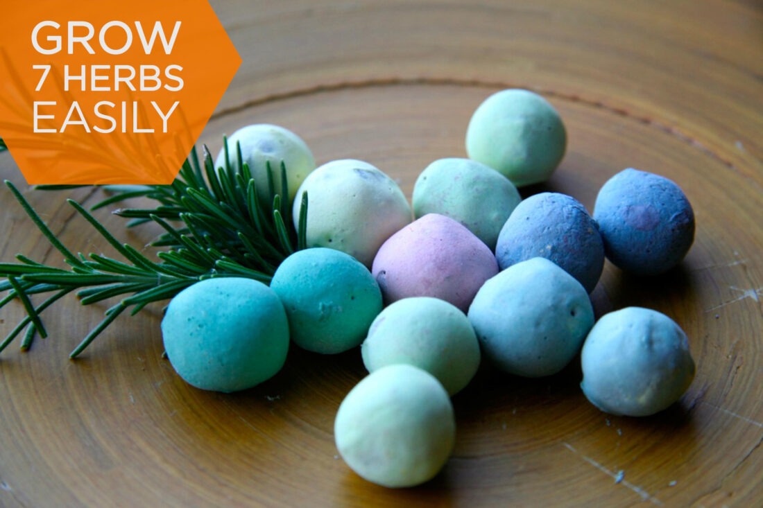 seedles-sead-bomb-wildflower-seeds-04