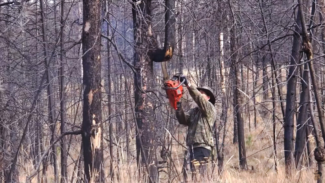 stinnett-hand-carved-walking-stick-08